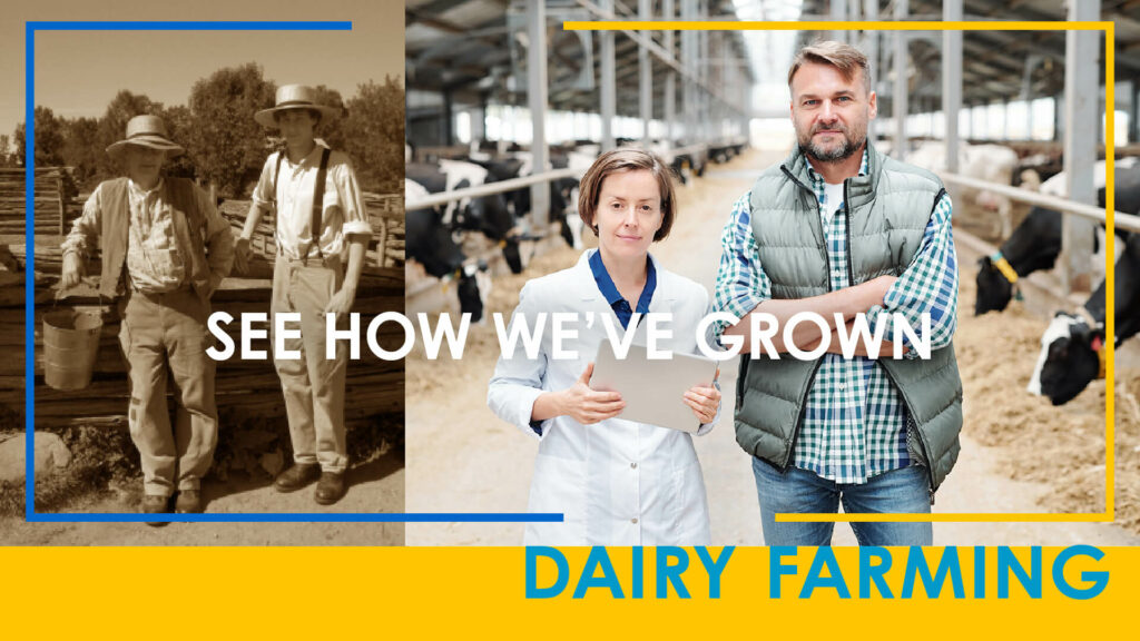 See How We&rsquo;ve Grown